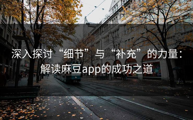 深入探讨“细节”与“补充”的力量:解读麻豆app的成功之道