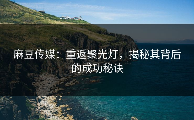 麻豆传媒:重返聚光灯,揭秘其背后的成功秘诀